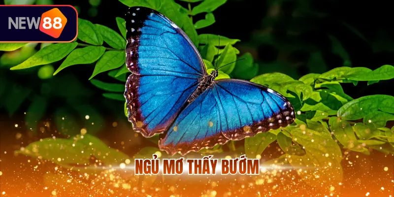 Ngủ mơ thấy bướm
