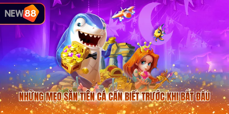 Những mẹo săn tiên cá cần biết trước khi bắt đầu